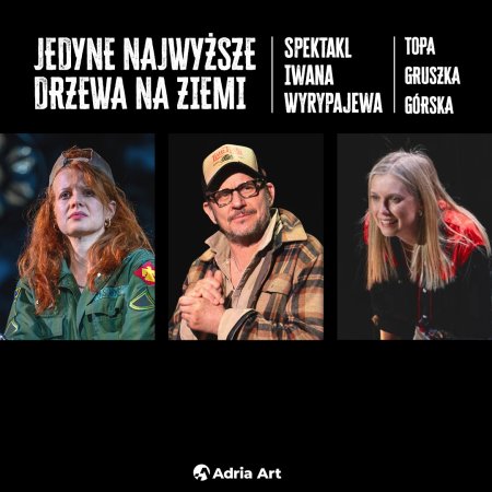 Jedyne najwyższe drzewa na Ziemi